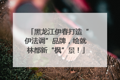 黑龙江伊春打造“伊法调”品牌，绘就林都新“枫”景！