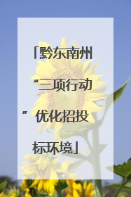 黔东南州“三项行动”优化招投标环境