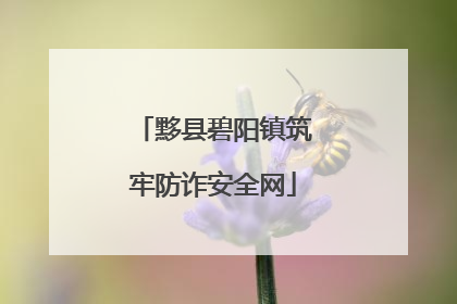 黟县碧阳镇筑牢防诈安全网
