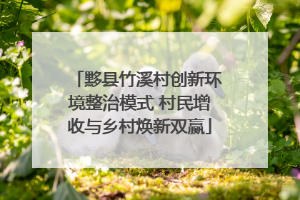 黟县竹溪村创新环境整治模式 村民增收与乡村焕新双赢
