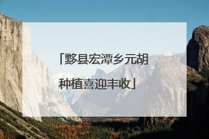 黟县宏潭乡元胡种植喜迎丰收