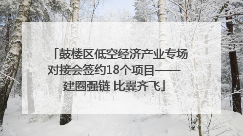 鼓楼区低空经济产业专场对接会签约18个项目——建圈强链 比翼齐飞
