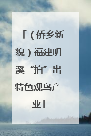 （侨乡新貌）福建明溪“拍”出特色观鸟产业