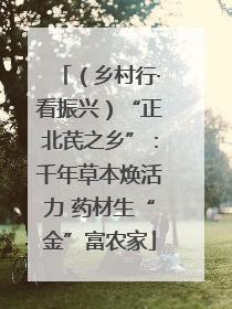 （乡村行·看振兴）“正北芪之乡”：千年草本焕活力 药材生“金”富农家