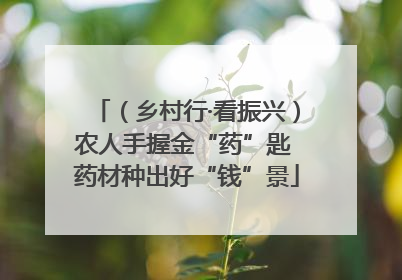 （乡村行·看振兴）农人手握金“药”匙 药材种出好“钱”景