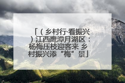 （乡村行·看振兴）江西鹰潭月湖区：杨梅压枝迎客来 乡村振兴添“梅”景