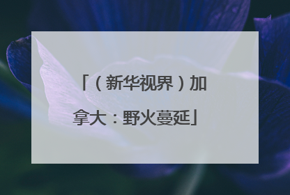 （新华视界）加拿大：野火蔓延