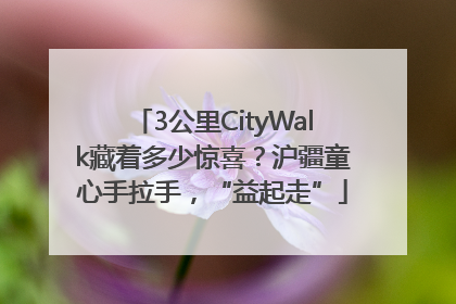 3公里CityWalk藏着多少惊喜？沪疆童心手拉手，“益起走”