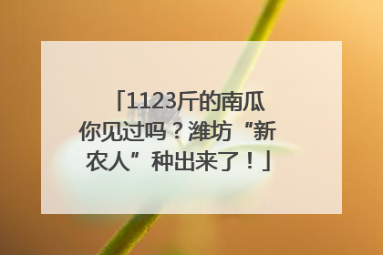 1123斤的南瓜你见过吗？潍坊“新农人”种出来了！