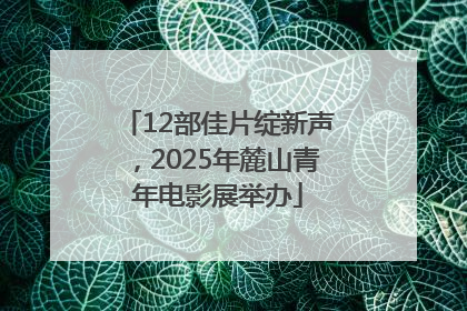 12部佳片绽新声，2025年麓山青年电影展举办