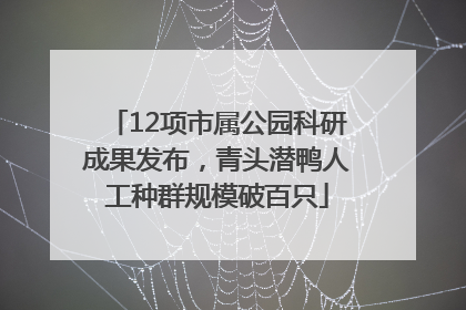 12项市属公园科研成果发布，青头潜鸭人工种群规模破百只
