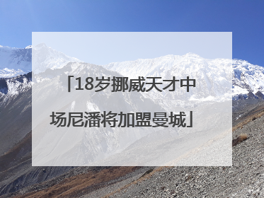18岁挪威天才中场尼潘将加盟曼城