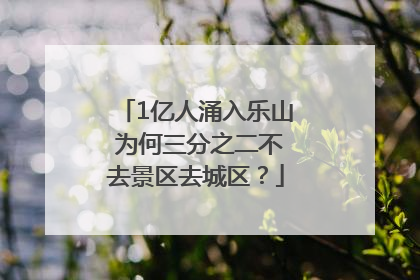 1亿人涌入乐山 为何三分之二不去景区去城区？