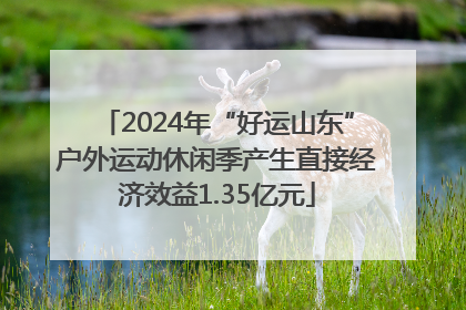 2024年“好运山东”户外运动休闲季产生直接经济效益1.35亿元