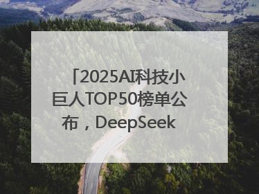 2025AI科技小巨人TOP50榜单公布，DeepSeek、宇树科技、蘑菇车联等企业荣誉上榜