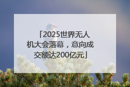 2025世界无人机大会落幕，意向成交额达200亿元