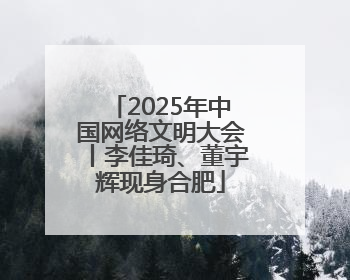 2025年中国网络文明大会丨李佳琦、董宇辉现身合肥