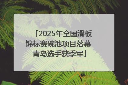 2025年全国滑板锦标赛碗池项目落幕 青岛选手获季军