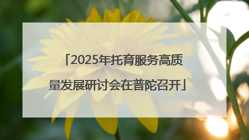 2025年托育服务高质量发展研讨会在普陀召开