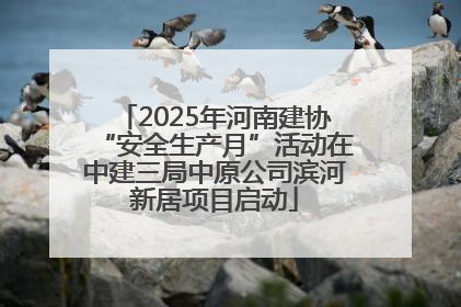 2025年河南建协“安全生产月”活动在中建三局中原公司滨河新居项目启动