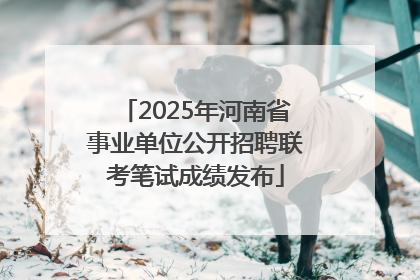 2025年河南省事业单位公开招聘联考笔试成绩发布