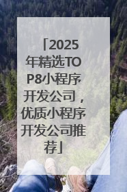 2025年精选TOP8小程序开发公司，优质小程序开发公司推荐