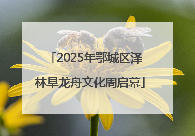 2025年鄂城区泽林旱龙舟文化周启幕