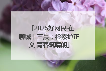 2025好网民·在聊城｜王晨：检察护正义 青春筑晴朗
