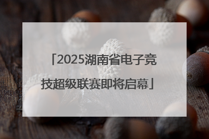2025湖南省电子竞技超级联赛即将启幕