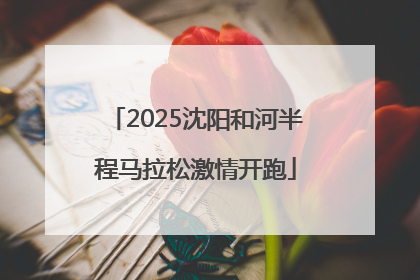 2025沈阳和河半程马拉松激情开跑
