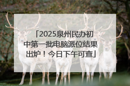 2025泉州民办初中第一批电脑派位结果出炉！今日下午可查