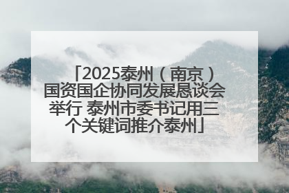 2025泰州（南京）国资国企协同发展恳谈会举行 泰州市委书记用三个关键词推介泰州