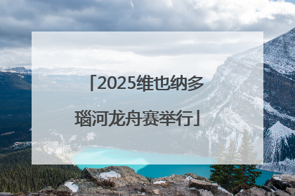 2025维也纳多瑙河龙舟赛举行