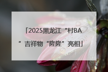 2025黑龙江“村BA”吉祥物“隆隆”亮相
