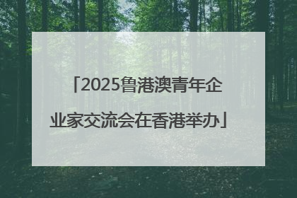 2025鲁港澳青年企业家交流会在香港举办