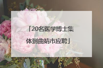 20名医学博士集体到曲靖市应聘