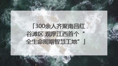 300余人齐聚南昌红谷滩区 观摩江西首个“全生命周期智慧工地”