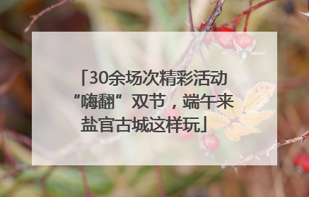 30余场次精彩活动“嗨翻”双节，端午来盐官古城这样玩