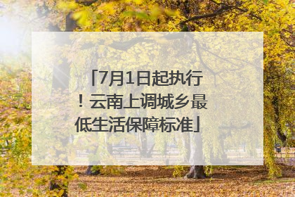 7月1日起执行！云南上调城乡最低生活保障标准
