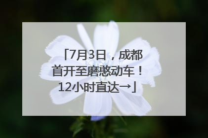 7月3日，成都首开至磨憨动车！12小时直达→