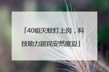40组灭蚊灯上岗，科技助力居民安然度夏