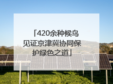 420余种候鸟见证京津冀协同保护绿色之道