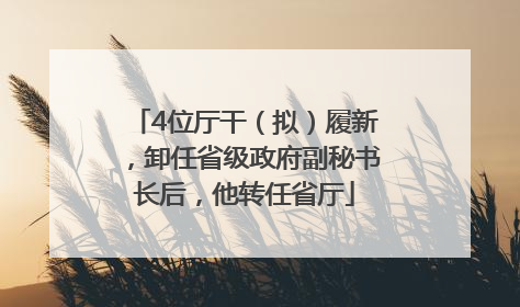 4位厅干（拟）履新，卸任省级政府副秘书长后，他转任省厅