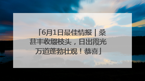 6月1日最佳情报｜桑葚丰收缀枝头，日出霞光万道蓬勃壮观！恭喜