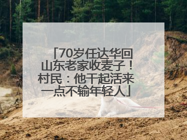 70岁任达华回山东老家收麦子！村民：他干起活来一点不输年轻人