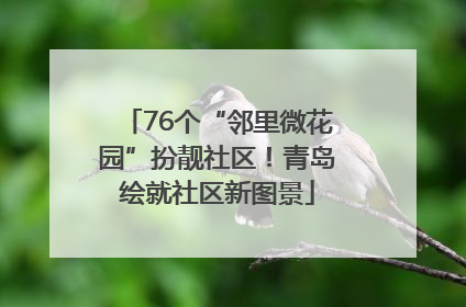 76个“邻里微花园”扮靓社区！青岛绘就社区新图景