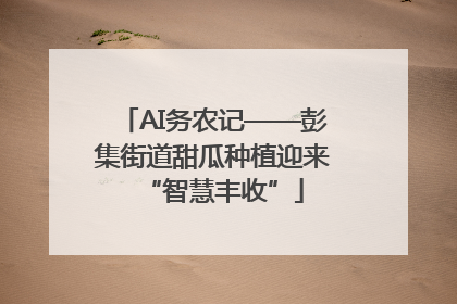 AI务农记——彭集街道甜瓜种植迎来“智慧丰收”