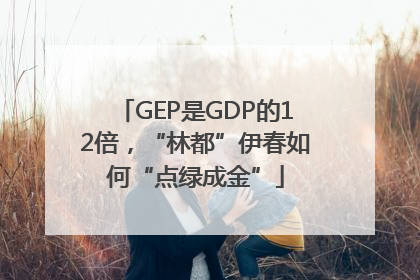 GEP是GDP的12倍，“林都”伊春如何“点绿成金”