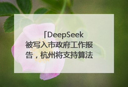 DeepSeek被写入市政府工作报告，杭州将支持算法模型企业发展