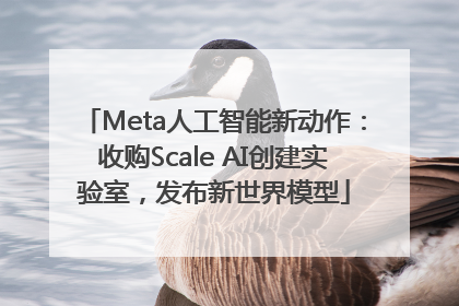 Meta人工智能新动作：收购Scale AI创建实验室，发布新世界模型